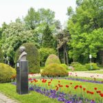 Grădina publică a orașului – Parcul Central și poveștile sale