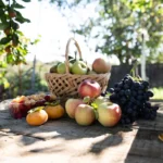 De la smochini turcești la kaki Jiro – povestea unei grădini de familie