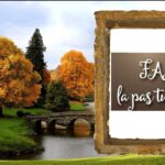 Timișoara are oameni faini care duc mai departe povești frumoase